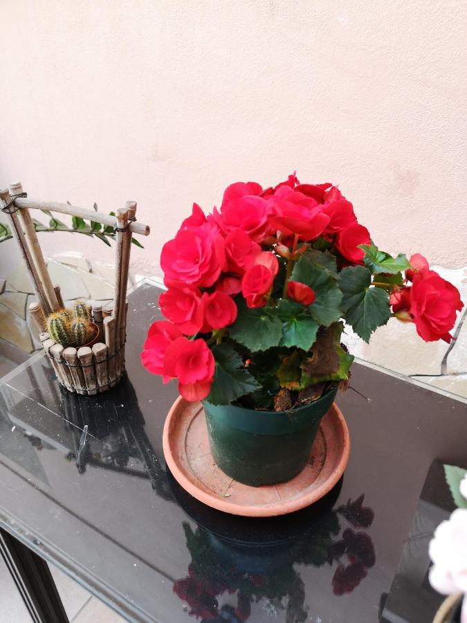 B&B Casa Valeria Catania Eksteriør bilde